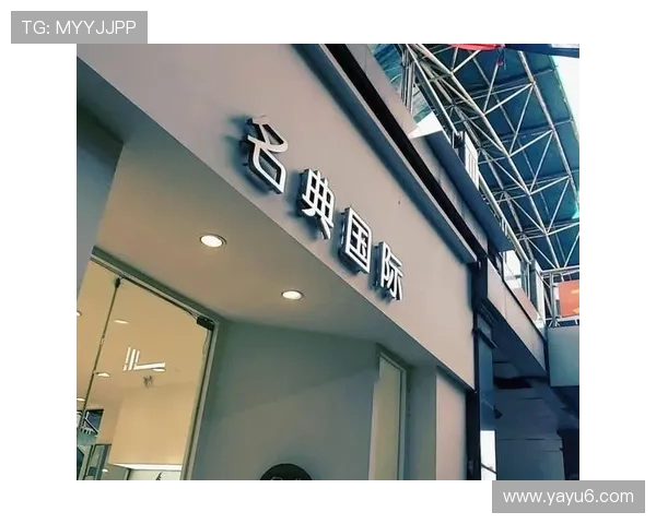 名典国际：引领全球文化交流与创新发展的先锋平台